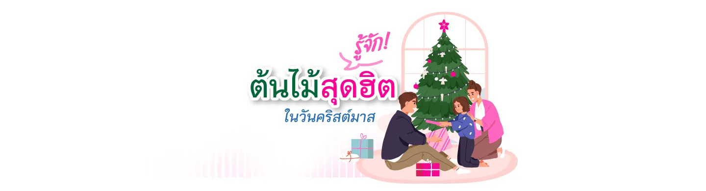 รู้จัก! ต้นไม้สุดฮิต ในวันคริสต์มาส